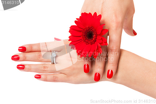 Image of Beautiful hands of an elegant woman