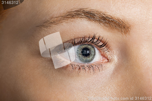 Image of Close up Woman Eye Looking Up