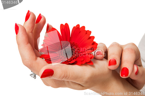 Image of Beautiful hands of an elegant woman