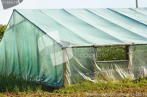 Image of Part of film wooden greenhouse