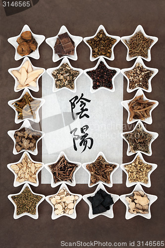 Image of Yin and Yang Herbs