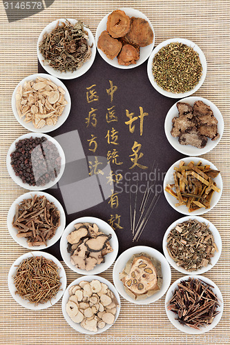 Image of Acupuncture Alternative Medicine