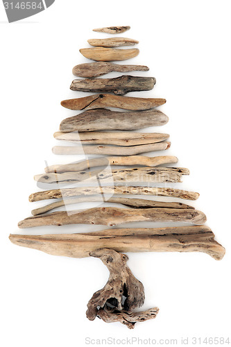 Image of Driftwood Tree Abstract