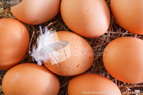 Image of raw eggs