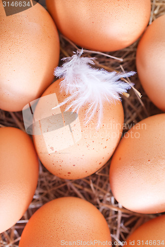 Image of raw eggs