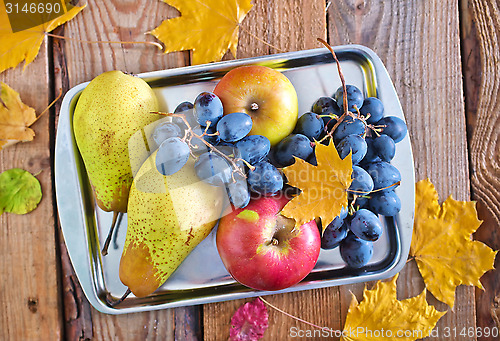 Image of autumn harvest