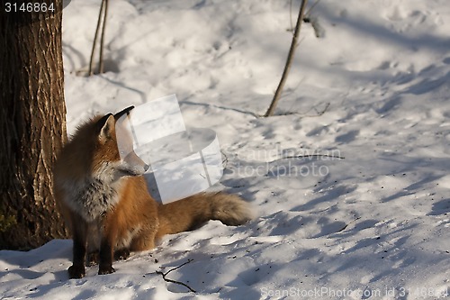 Image of enjoying the sun