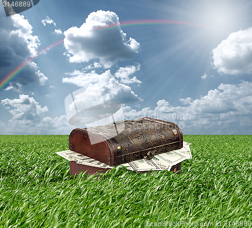 Image of Money in Grass