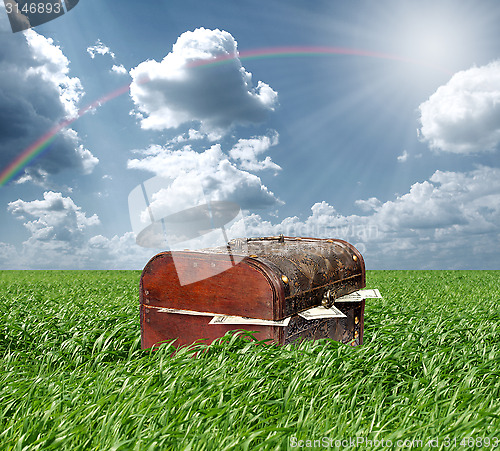 Image of Money in Grass