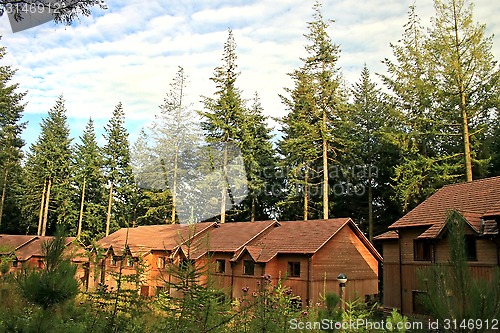 Image of Forest Houses