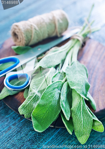 Image of aroma sage