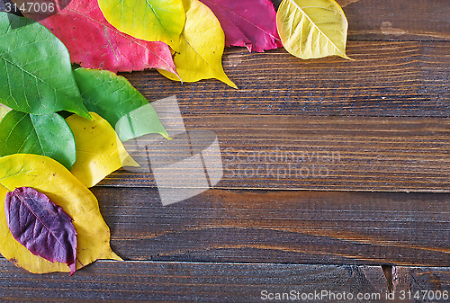 Image of automn background