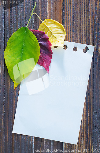 Image of automn background