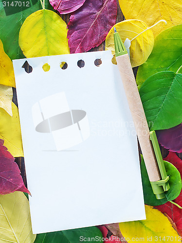 Image of automn background