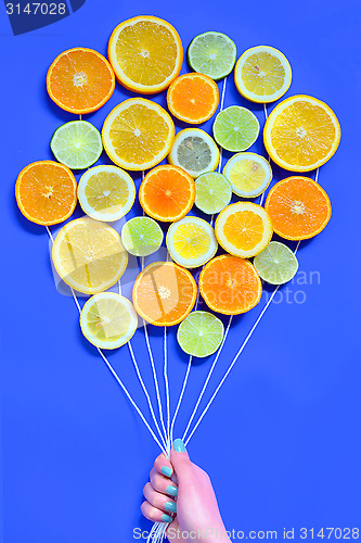 Image of Citrus  slices fruits concept