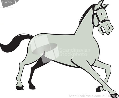 Image of Horse Trotting Side Cartoon Isolated