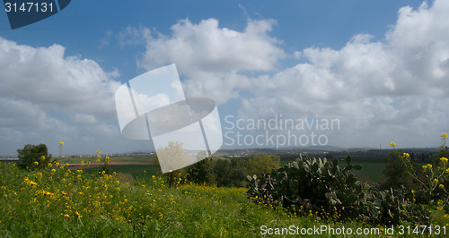 Image of Spring in Israel