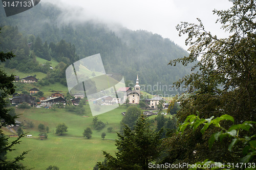 Image of Alpine forest nature