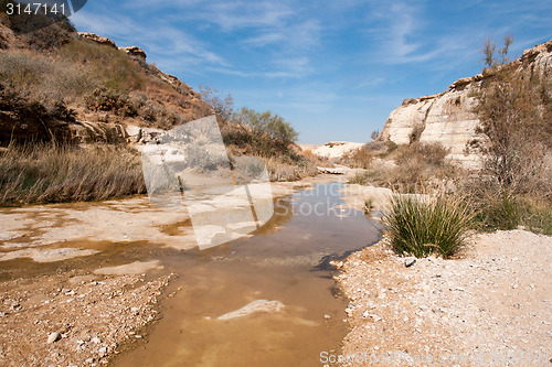 Image of Water spring in a desert