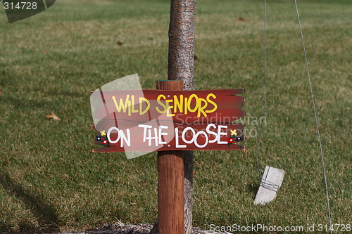 Image of Wild Seniors