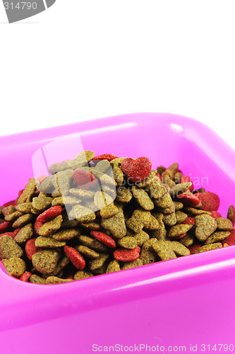 Image of Pet food