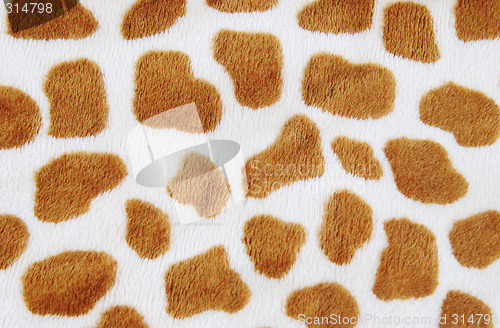 Image of Fur animal print