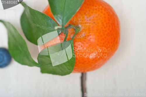 Image of tangerine and blueberry on white table