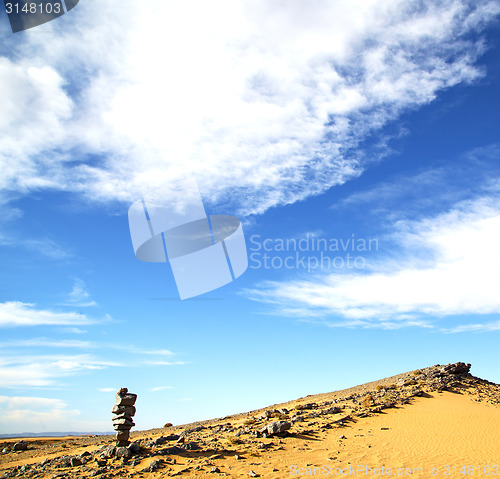 Image of  bush old fossil in  the desert of morocco sahara and rock  ston