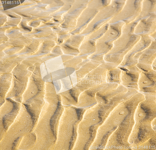Image of dune morocco in africa brown coastline wet sand beach near atlan