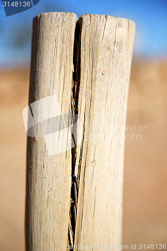 Image of   wood in the sky morocco africa winter