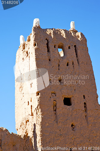 Image of brown   in  africa morocco  near the tower