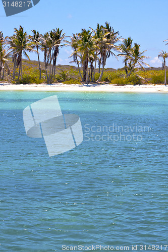 Image of isla contoy   in mexico froath and blue  foam  the  
