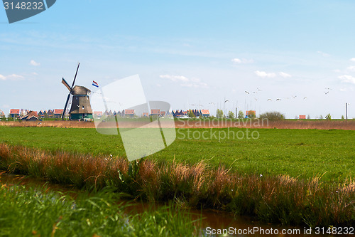 Image of charming landscape with Dutch windmill  bright spring day