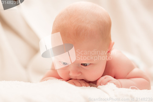 Image of Two-month old baby girl baby girl