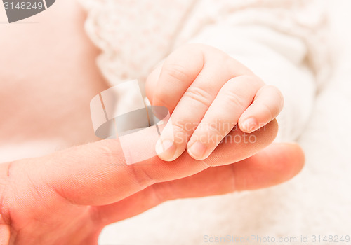 Image of Hand of the newborn child