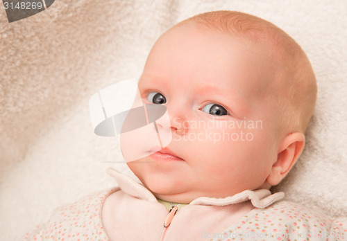 Image of Two-month old baby girl baby girl