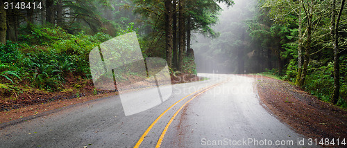 Image of Misty Forest Two Lane Highway Rural Country Coastal Road