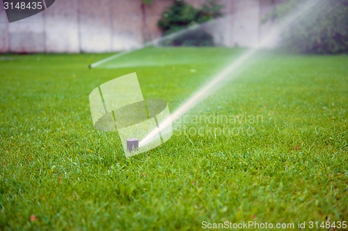 Image of Grass Sprinkler closeup photo