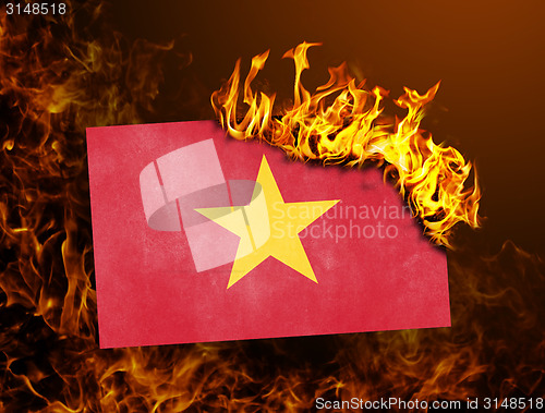 Image of Flag burning - Vietnam