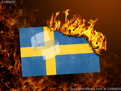 Image of Flag burning - Sweden