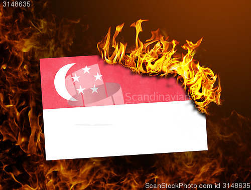 Image of Flag burning - Singapore