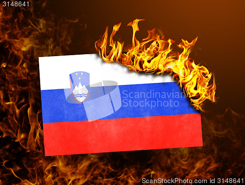 Image of Flag burning - Slovenia