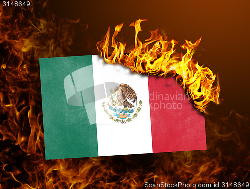 Image of Flag burning - Mexico