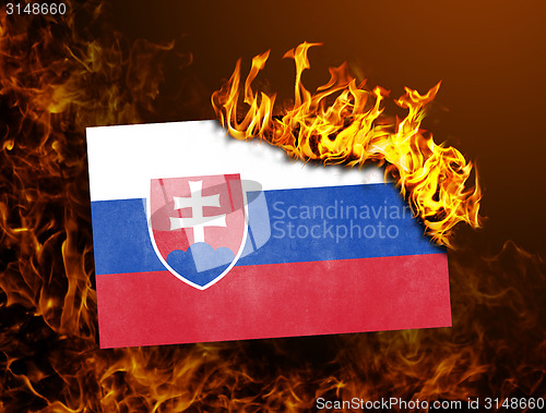 Image of Flag burning - Slovakia