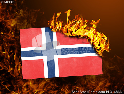 Image of Flag burning - Norway