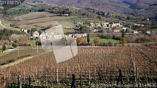 Image of 
Wineyard in the winter 					