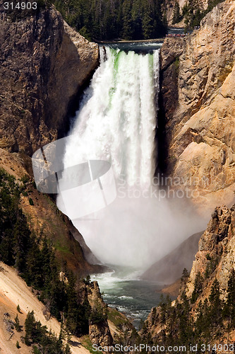 Image of Yellowstone Lower Falls