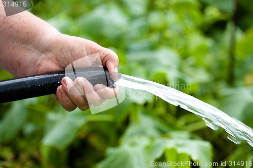 Image of Irrigation