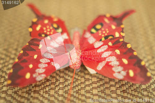 Image of butterfly.