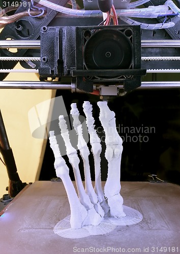 Image of Foot Bones Printing